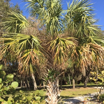 Emerson Point Park - Parks Near Me - Palmetto, Florida