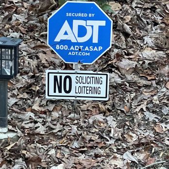 D & T Tree & Landscaping - A better view of he can't read it. - Tree Services Near Me D & T Tree & Landscaping - A better view of he can't read it. - Tree Services Near Me