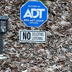 D & T Tree & Landscaping - A better view of he can't read it.