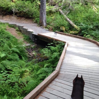Winner Creek Trail - Hiking Near Me - Girdwood, Alaska Winner Creek Trail - Hiking Near Me - Girdwood, Alaska