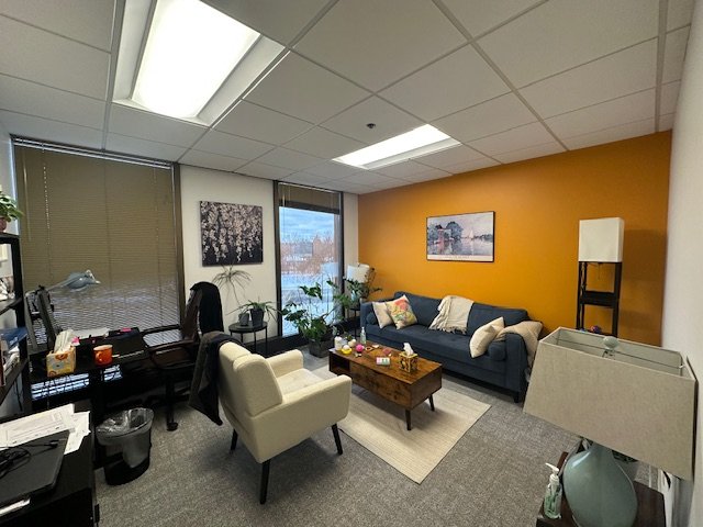 Minnesota Mental Health Clinics - grief counselor in Edina, MN