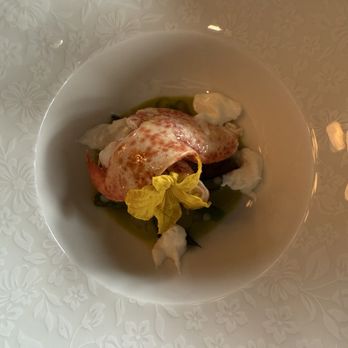 Il Girasole - Lobster appetizer - Italian Near Me - Costa Mesa, California Il Girasole - Lobster appetizer - Italian Near Me - Costa Mesa, California