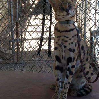 Wildlife Learning Center - Zoos Near Me - Sylmar, California Wildlife Learning Center - Zoos Near Me - Sylmar, California