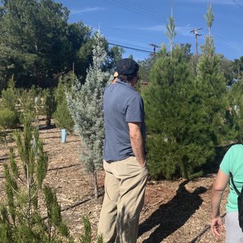 Christmas Ranch Tree Farms - Christmas Trees Near Me - Thousand Oaks, California Christmas Ranch Tree Farms - Christmas Trees Near Me - Thousand Oaks, California