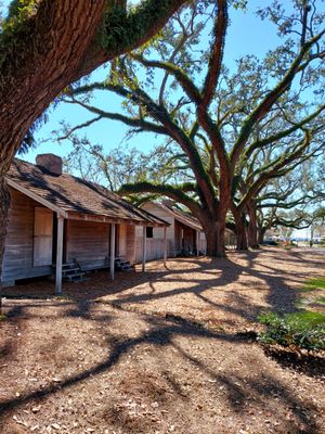 Gators and Ghosts: New Orleans Tours by null