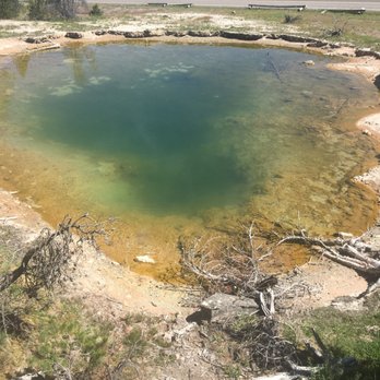 Yellowstone Scenic Tours - Sulfur pools - Tours Near Me