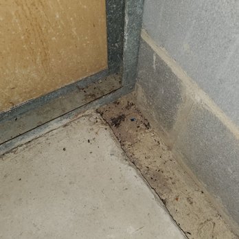Public Storage - MICE POOP ALL AROUND THE STORAGE UNIT! HOW IS ANYONE SUPPOSED TO LEAVE THEIR BELONGINGS IN THIS DUMPSTER? - Self Storage Near Me - Alexandria, Virginia Public Storage - MICE POOP ALL AROUND THE STORAGE UNIT! HOW IS ANYONE SUPPOSED TO LEAVE THEIR BELONGINGS IN THIS DUMPSTER? - Self Storage Near Me - Alexandria, Virginia