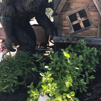 Creative Gardens - Landscaping Near Me - Sparks, Nevada