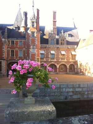 Château de Maintenon by null