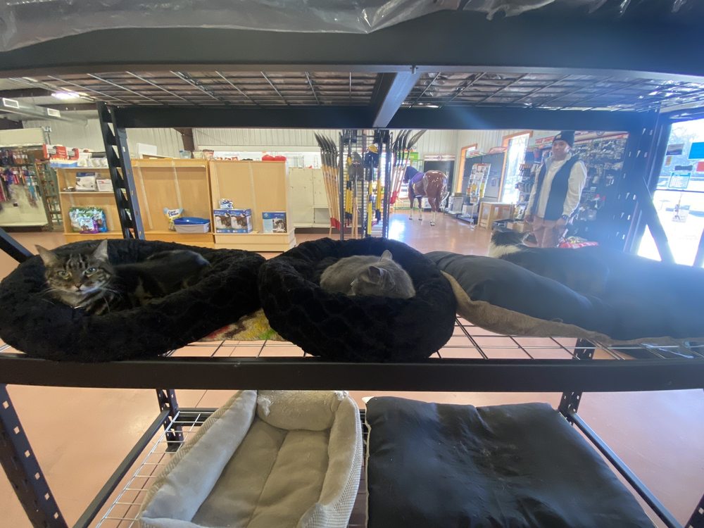 HORSE SENSE TACK & FEED Updated August 2024 1407 S Lake Dr