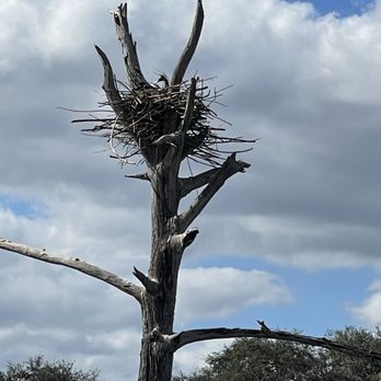Green Cay Nature Center - Osprey nest - Local Flavor Near Me - Boynton Beach, Florida