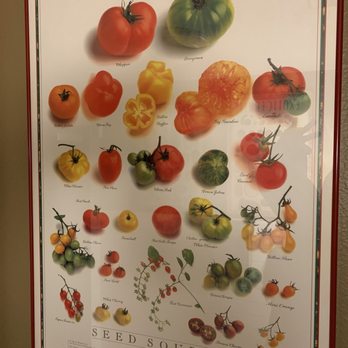 Temecula Pizza Company - Pizza Near Me - Temecula, California Temecula Pizza Company - Pizza Near Me - Temecula, California