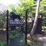 Photo of At Last Farm Dog Day Camp