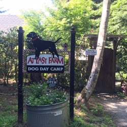 At Last Farm Dog Day Camp - The entrance. So cool!