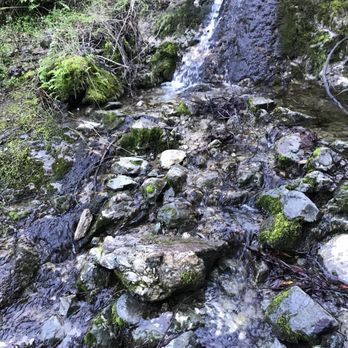 Waterfall Loop at Mount Diablo State Park - Hiking Near Me - Clayton, California