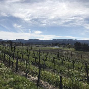 Mazzocco Sonoma - Views for days! - Wineries Near Me - Healdsburg, California Mazzocco Sonoma - Views for days! - Wineries Near Me - Healdsburg, California