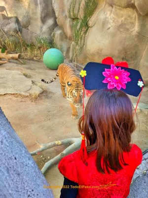 El Paso Zoo and Botanical Gardens by null