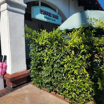 Coffee Dose - Coffee & Tea Near Me - Encinitas, California Coffee Dose - Coffee & Tea Near Me - Encinitas, California
