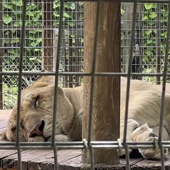 Zoological Wildlife Foundation - Zoos Near Me - Miami, Florida Zoological Wildlife Foundation - Zoos Near Me - Miami, Florida