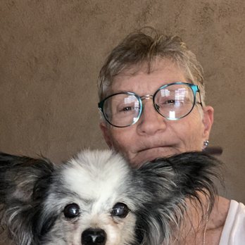 WPpettransport - Pet Services Near Me WPpettransport - Pet Services Near Me