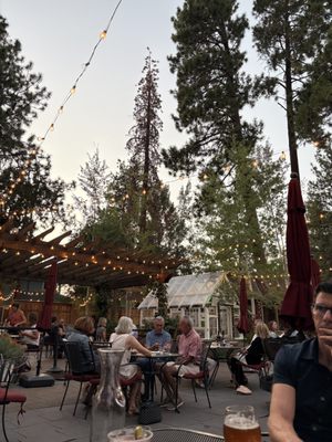 The Open Door by null