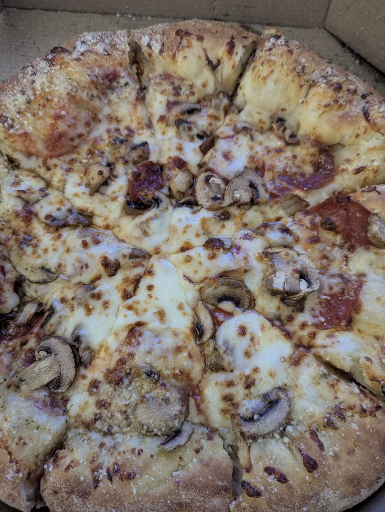 Domino's Pizza Logo