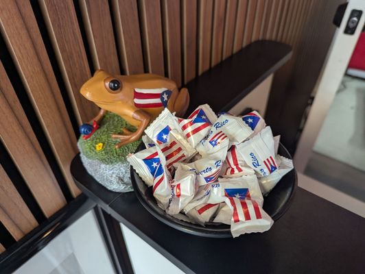 La Casa De iris by null