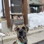 Photo of Doginhaus