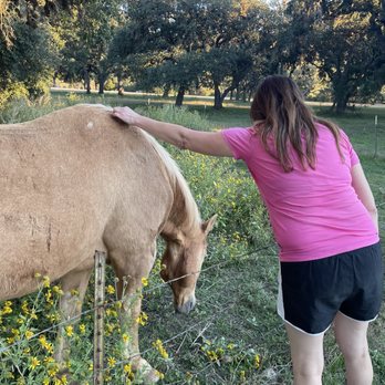 The Lodges At Lost Maples - We love your horse btw - Vacation Rentals Near Me - Vanderpool, Texas The Lodges At Lost Maples - We love your horse btw - Vacation Rentals Near Me - Vanderpool, Texas