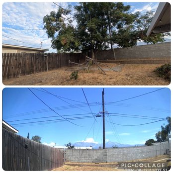 Kevin's Tree Service - Before & After - Tree Services Near Me - Bloomington, California