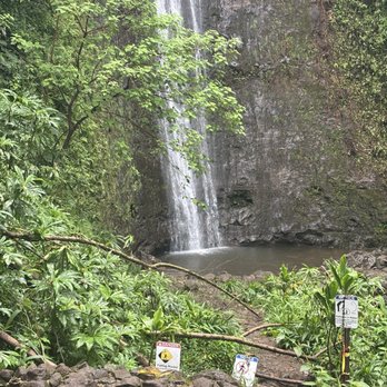 Mānoa Falls Trail - Hiking Near Me - Honolulu, Hawaii