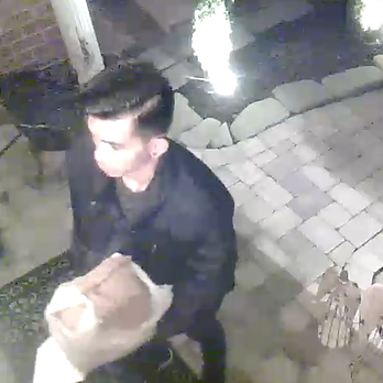 Sugar Palm - Delivery guy arriving at our house at 7:15pm - Thai Near Me - Alexandria, Virginia Sugar Palm - Delivery guy arriving at our house at 7:15pm - Thai Near Me - Alexandria, Virginia