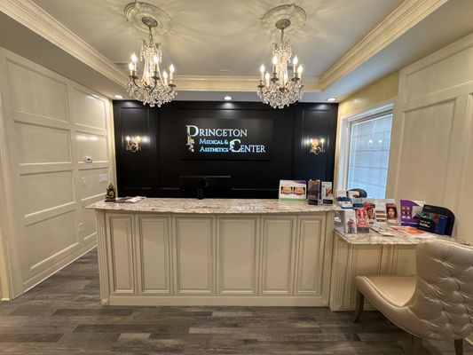 Princeton Aesthetics