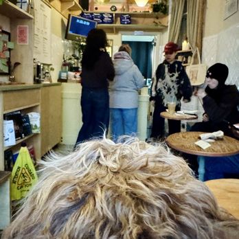 Dreamers Coffee House - Coffee & Tea Near Me - New York, New York Dreamers Coffee House - Coffee & Tea Near Me - New York, New York