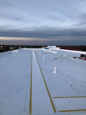 The Lion Roofing Logo