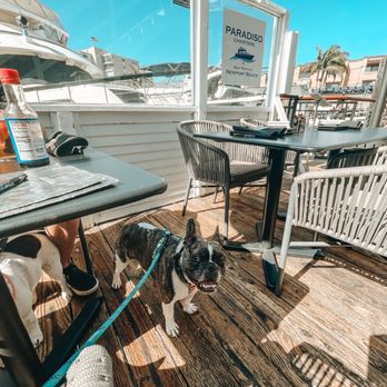 Buddha's Favorite - Dog friendly! - Sushi Bars Near Me - Newport Beach, California Buddha's Favorite - Dog friendly! - Sushi Bars Near Me - Newport Beach, California