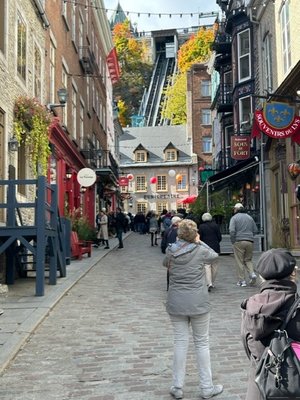 Tours Voir Quebec by null