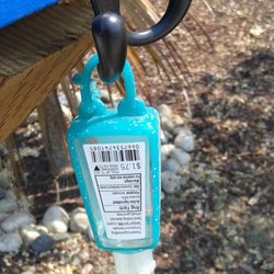 Little Free Library