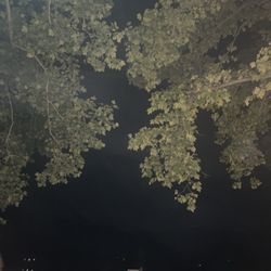 Crystal Lake Beach Club
