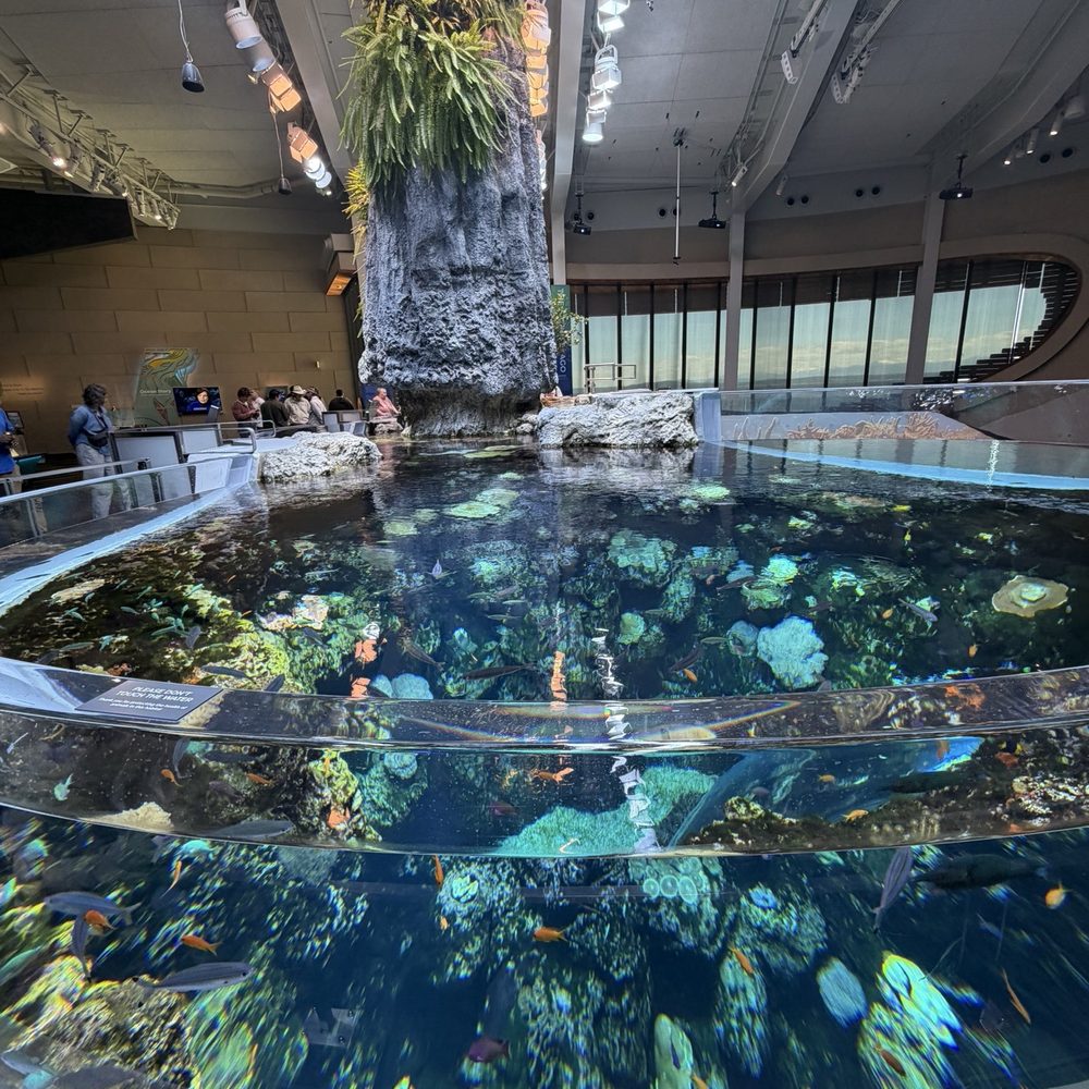 Seattle Aquarium - Aquariums Near Me - Seattle, Washington Seattle Aquarium - Aquariums Near Me - Seattle, Washington