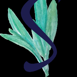 Sage Massage & Wellness
