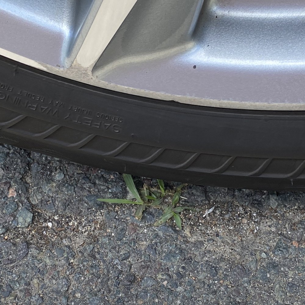 Rim Shine - Lil dent in wheel too - Wheel & Rim Repair Near Me - Allston, Massachusetts Rim Shine - Lil dent in wheel too - Wheel & Rim Repair Near Me - Allston, Massachusetts