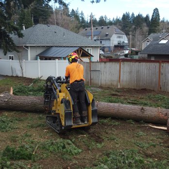 Samsara Tree Care - Tree Services Near Me - Washougal, Washington Samsara Tree Care - Tree Services Near Me - Washougal, Washington