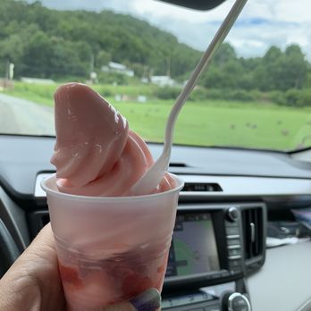 Darnell Farms - Darnell's Strawberry Whip (already took a lick!) So good! - Fruits & Veggies Near Me - Bryson City, North Carolina Darnell Farms - Darnell's Strawberry Whip (already took a lick!) So good! - Fruits & Veggies Near Me - Bryson City, North Carolina
