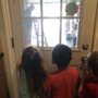 Photo of Classic Doors