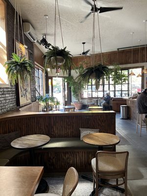 Lucille's Coffee and Cocktails by null