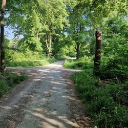 Siebentischwald