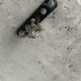 Photo of Handy Mickey's Home Repairs