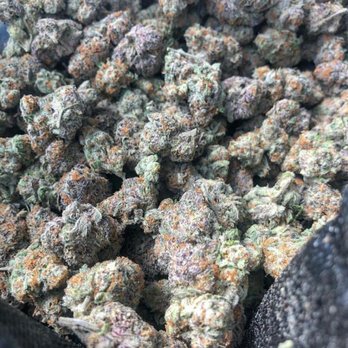 Josezell's Faith - Top quality indoor best for insomnia ,smells good fruity taste and gets you high asf . - Cannabis Clinics Near Me - Dublin, Ohio Josezell's Faith - Top quality indoor best for insomnia ,smells good fruity taste and gets you high asf . - Cannabis Clinics Near Me - Dublin, Ohio