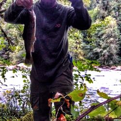Heaven's Gate River Cottages - Rainbows off the bank
